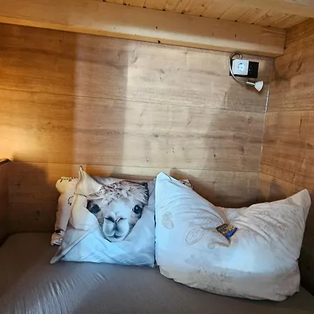 Sweet 哈弗尔贝格