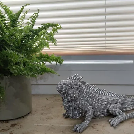 Sweet 哈弗尔贝格