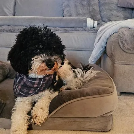 Sweet Vakantiehuis Havelberg