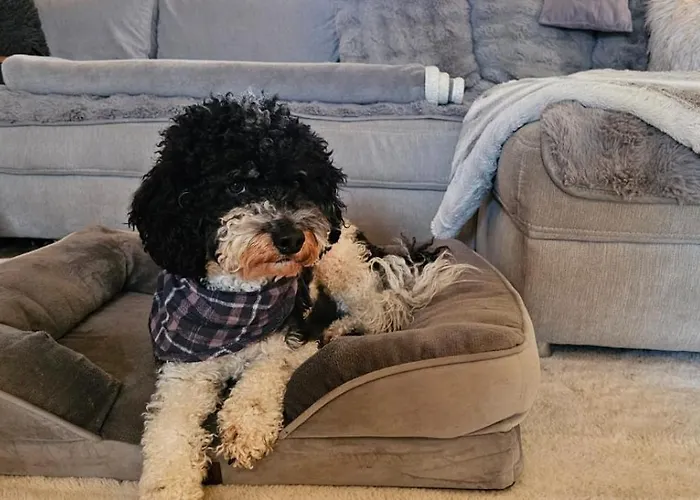 Sweet Prázdninový dům Havelberg